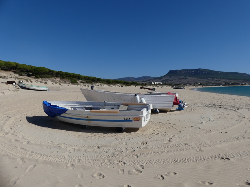 Playa de Bolonia.